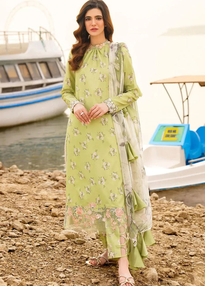Pakistani Meraki By Asifa Nabeel Unstitched Three Piece