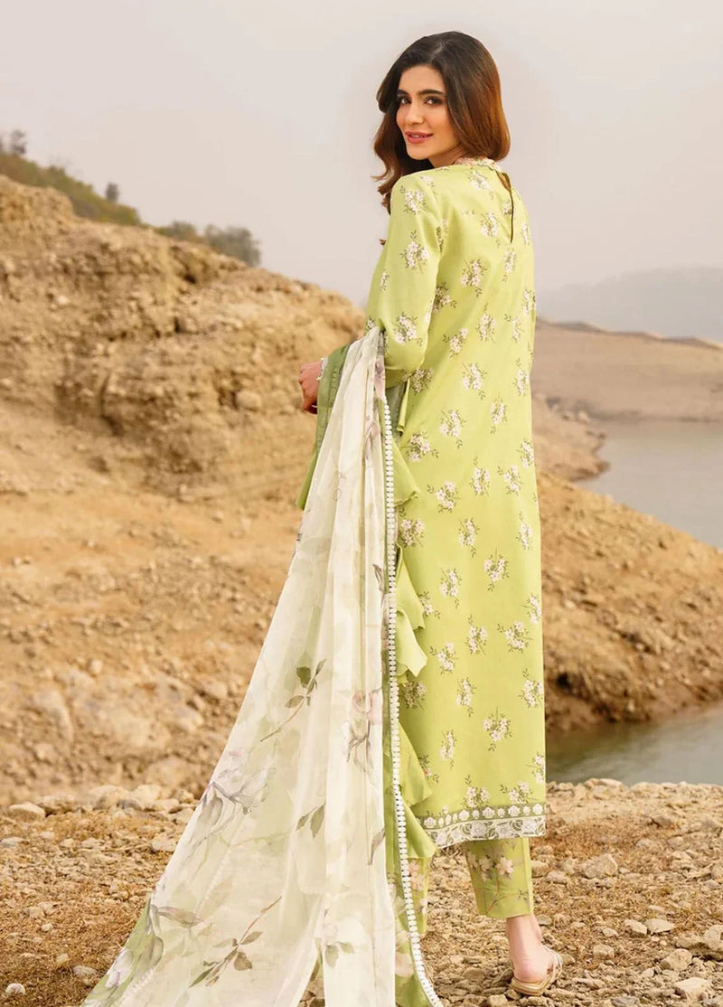 Pakistani Meraki By Asifa Nabeel Unstitched Three Piece