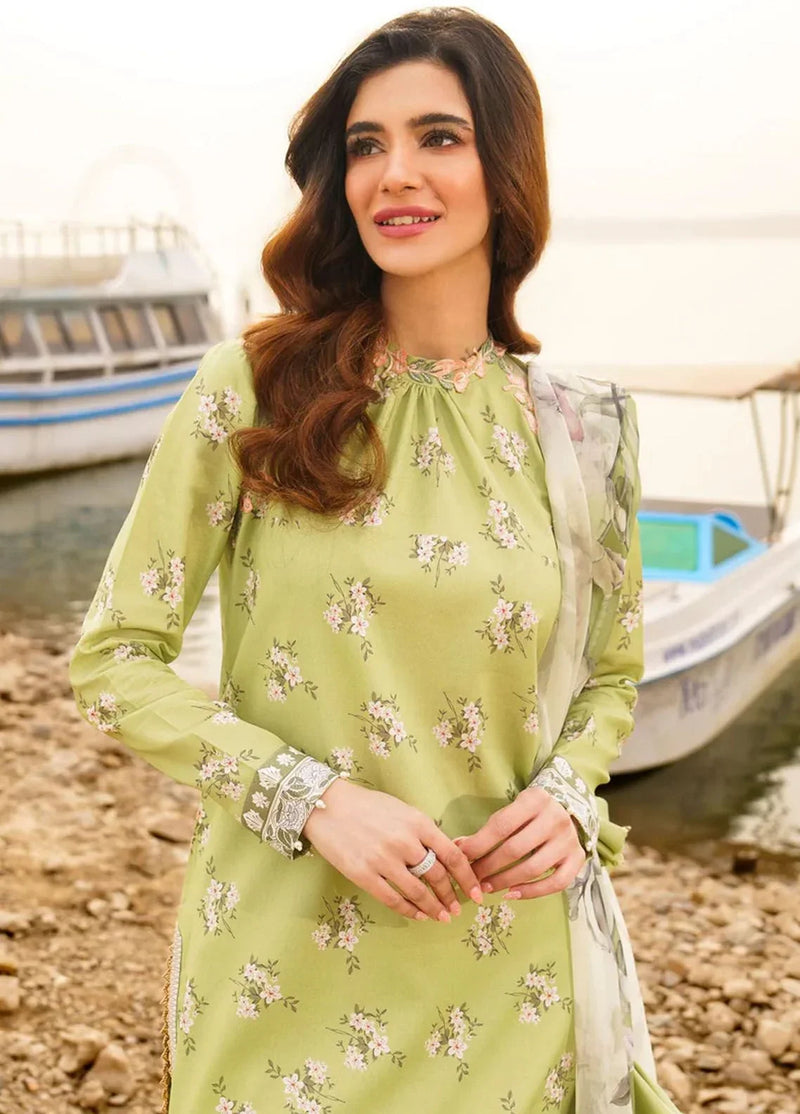 Pakistani Meraki By Asifa Nabeel Unstitched Three Piece